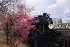 250307d梅小路公園28