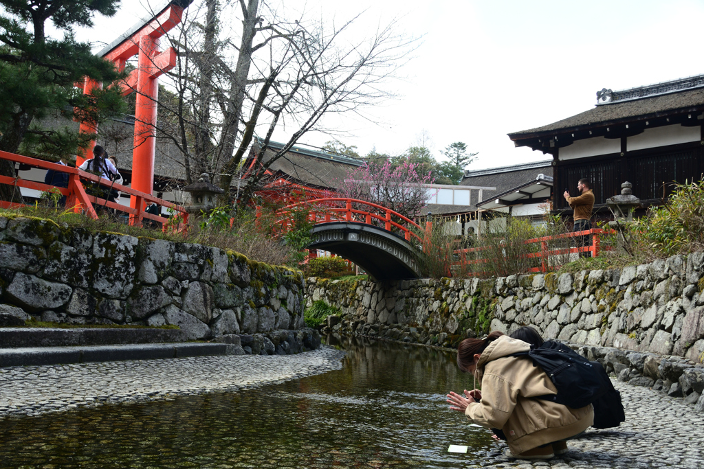 230305b下鴨神社32