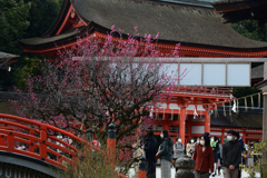 230305b下鴨神社33