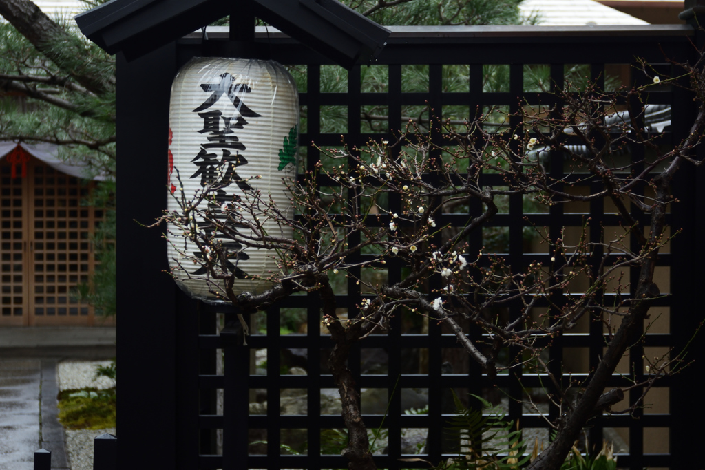 190105b六波羅蜜寺17