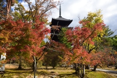 181115a仁和寺43