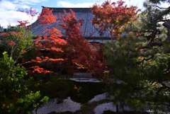 241208a西陣興聖寺24