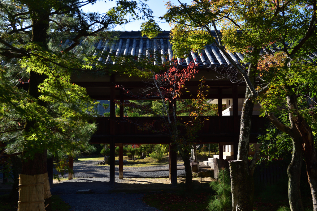 191109c清凉寺06