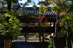 191109c清凉寺06