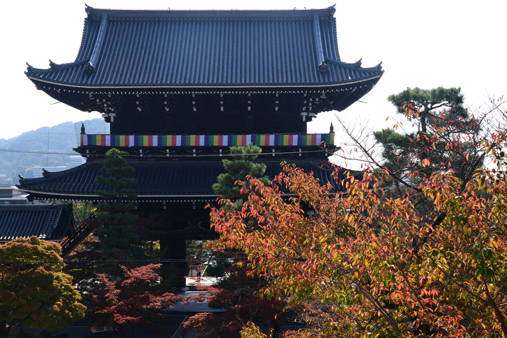 231109d金戒光明寺36