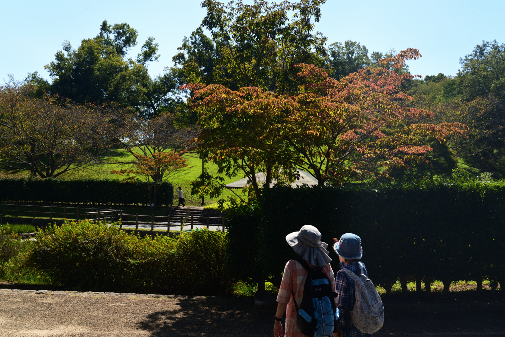 221014馬見丘陵公園43
