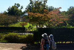 221014馬見丘陵公園43