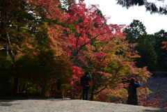 211106b神護寺21