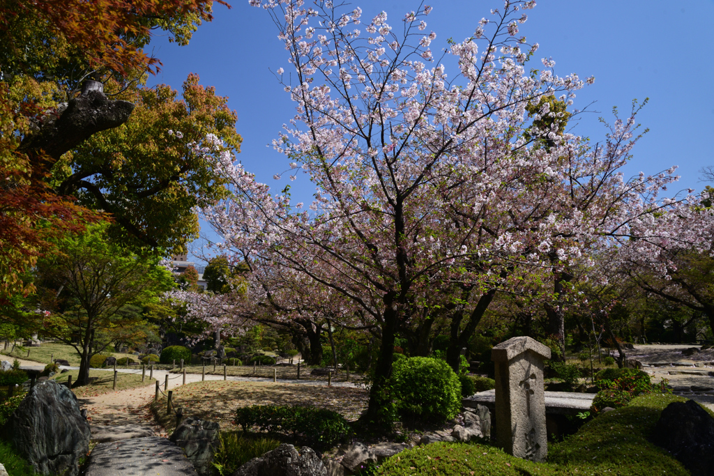 220409b四天王寺24