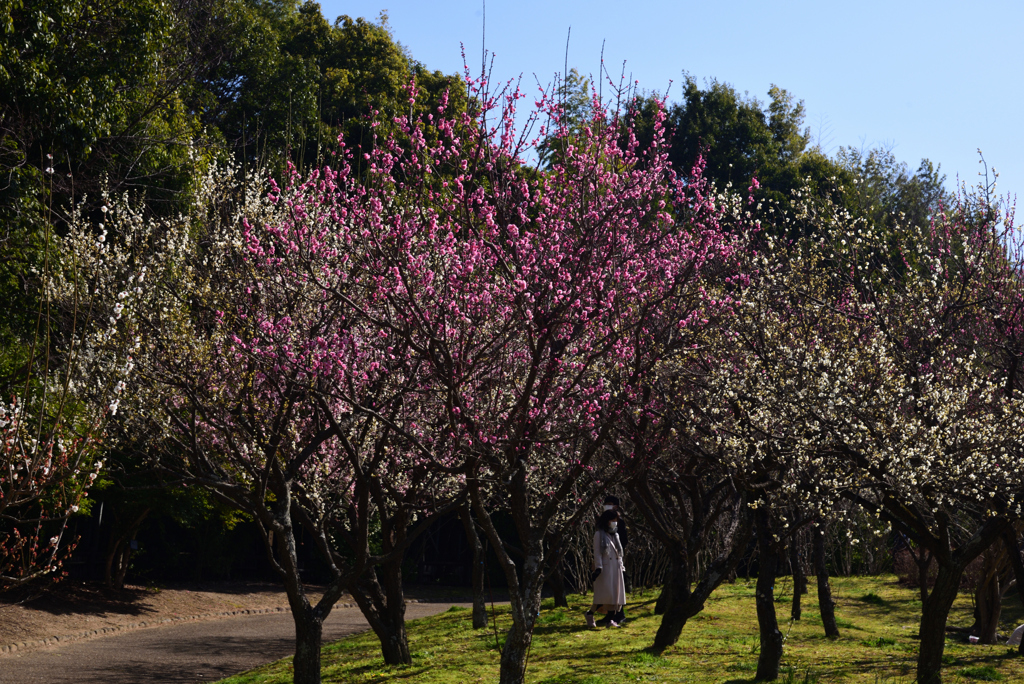200224a山田池公園40