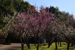 200224a山田池公園40