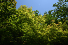 190606馬見丘陵公園44