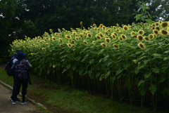 220807馬見丘陵公園60