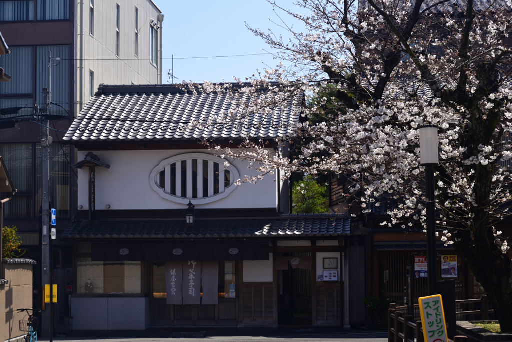 230322e妙顕寺29