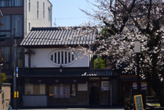 230322e妙顕寺29