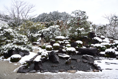 200209a妙満寺17 200209a妙満寺17