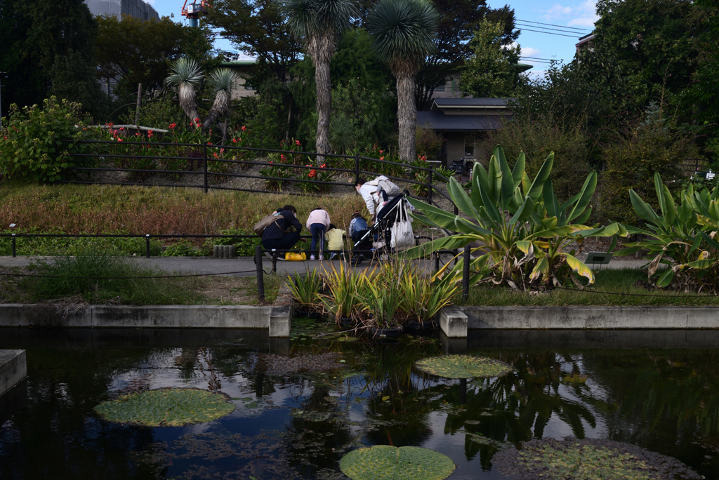 211022京都植物園58