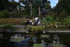 211022京都植物園58