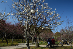 210213山田池公園11
