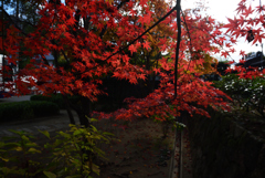 191129e知恩院04