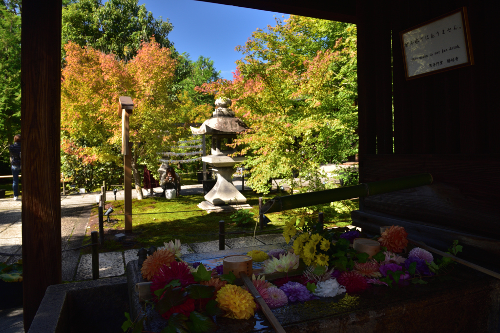 191028b勝林寺36