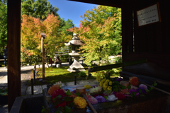 191028b勝林寺36