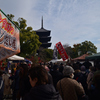 241221a東寺33