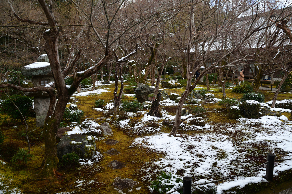 240125b圓光寺54