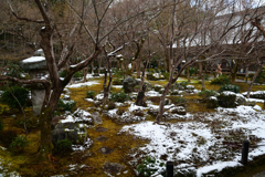 240125b圓光寺54