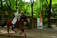 250515葵祭07