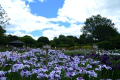 180613馬見丘陵02+