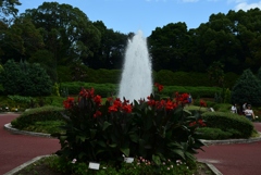 170910植物園01