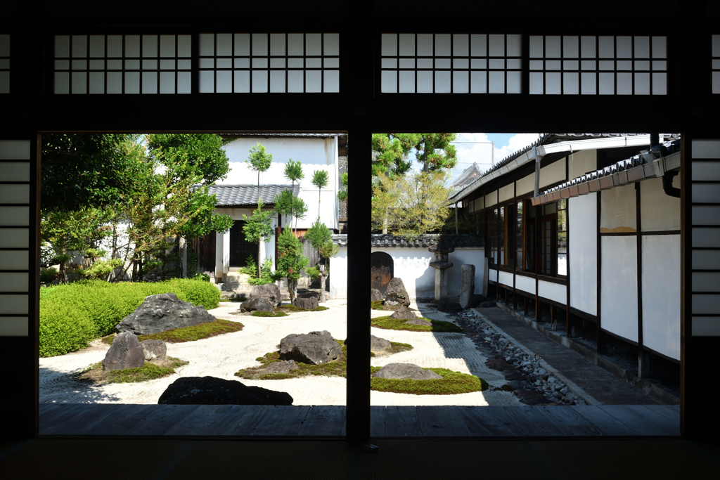 250916妙蓮寺19