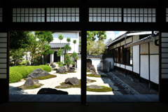250916妙蓮寺19