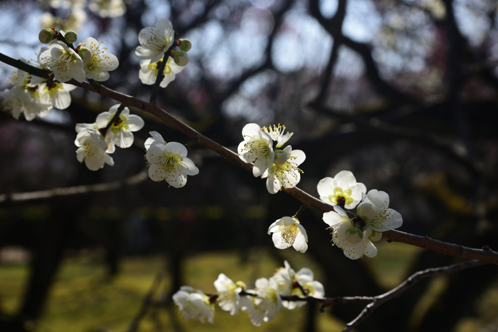 190226b大和文華館05