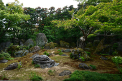 250924bだるま寺19
