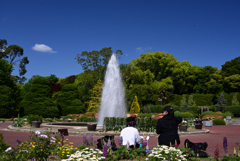 230427京都植物園32