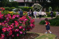 200520京都植物園24