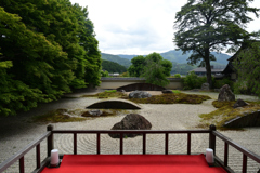 230528a実相院08