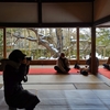 250210宝泉院2