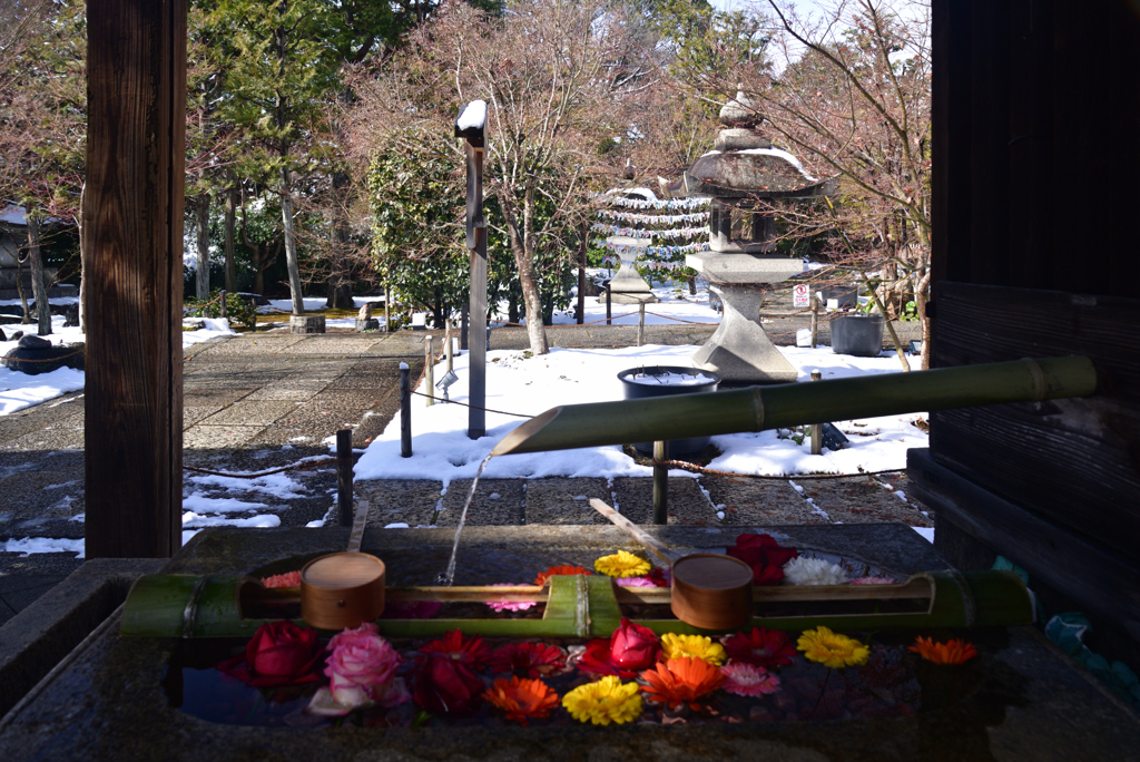 250208d勝林寺42