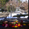 250208d勝林寺42