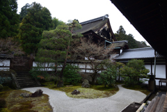 200124b泉涌寺19