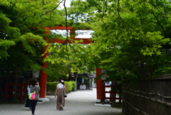 220605b下鴨神社16