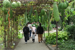 201003京都植物園52