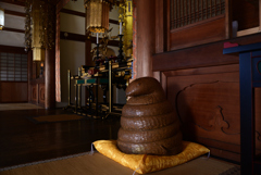 250118h日體寺46