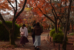 191210a京都植物園26