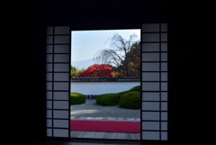 181127a正伝寺24