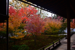241208a西陣興聖寺35