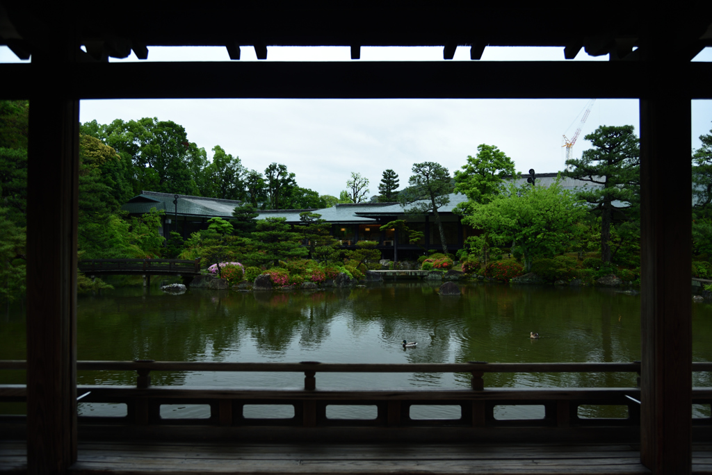 190607平安神宮32